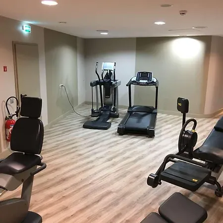 昂内维尔金色郁金香酒店 岩尼维利
