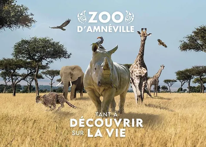 Отель Golden Tulip - & Casino 4*